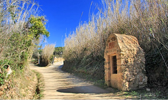 Camí i pou de veins de Tamariu